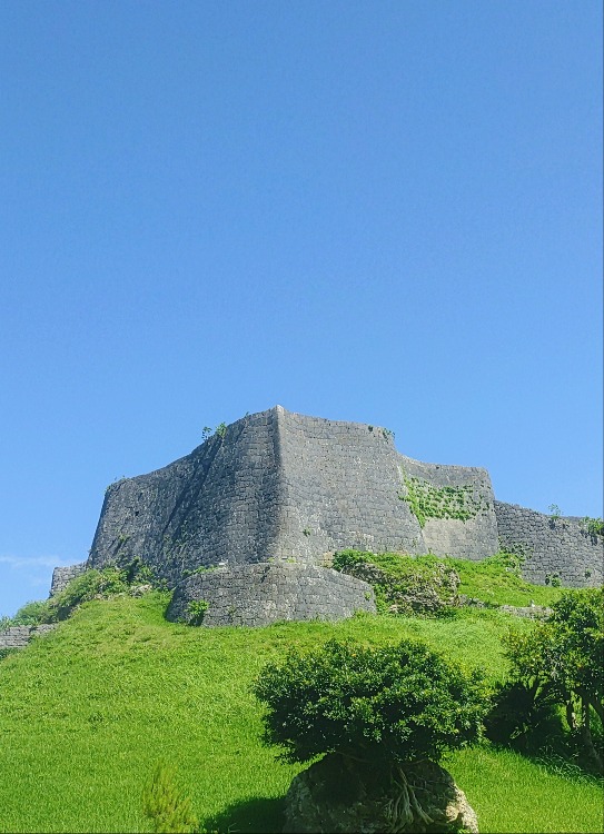20250623125910-karakusa.jpg