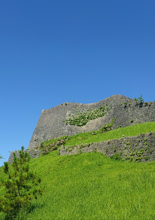 202506231259101-karakusa.jpg