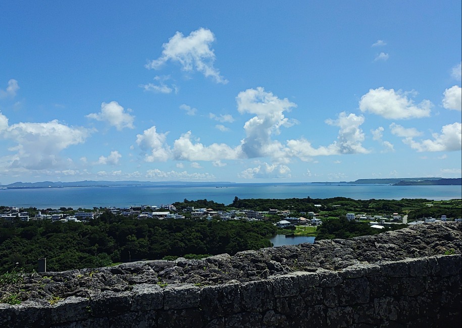 202506231259102-karakusa.jpg